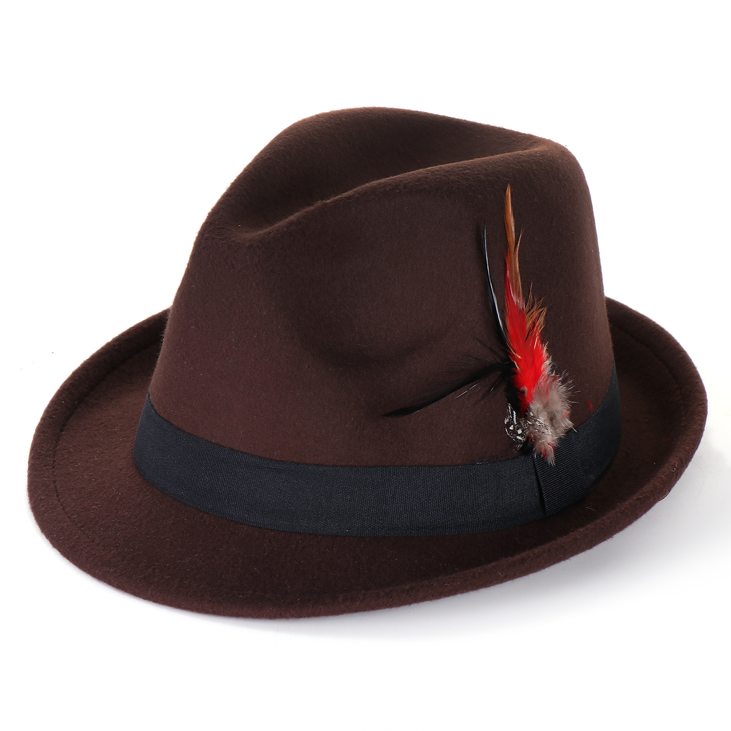 Fashion Men's And Women's Woolen Feather Hat